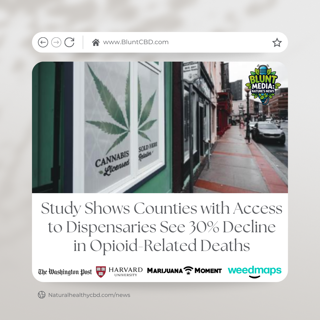 Natural News Article by Natural Healthy CBD about the recent drop in opitate deaths due to marijuana access.