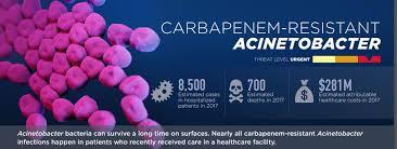 Carbapenem-Resistant Acinetobacter baumannii (CRAB)